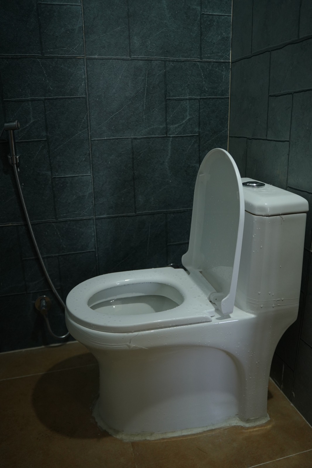 Clean modern attached bathroom